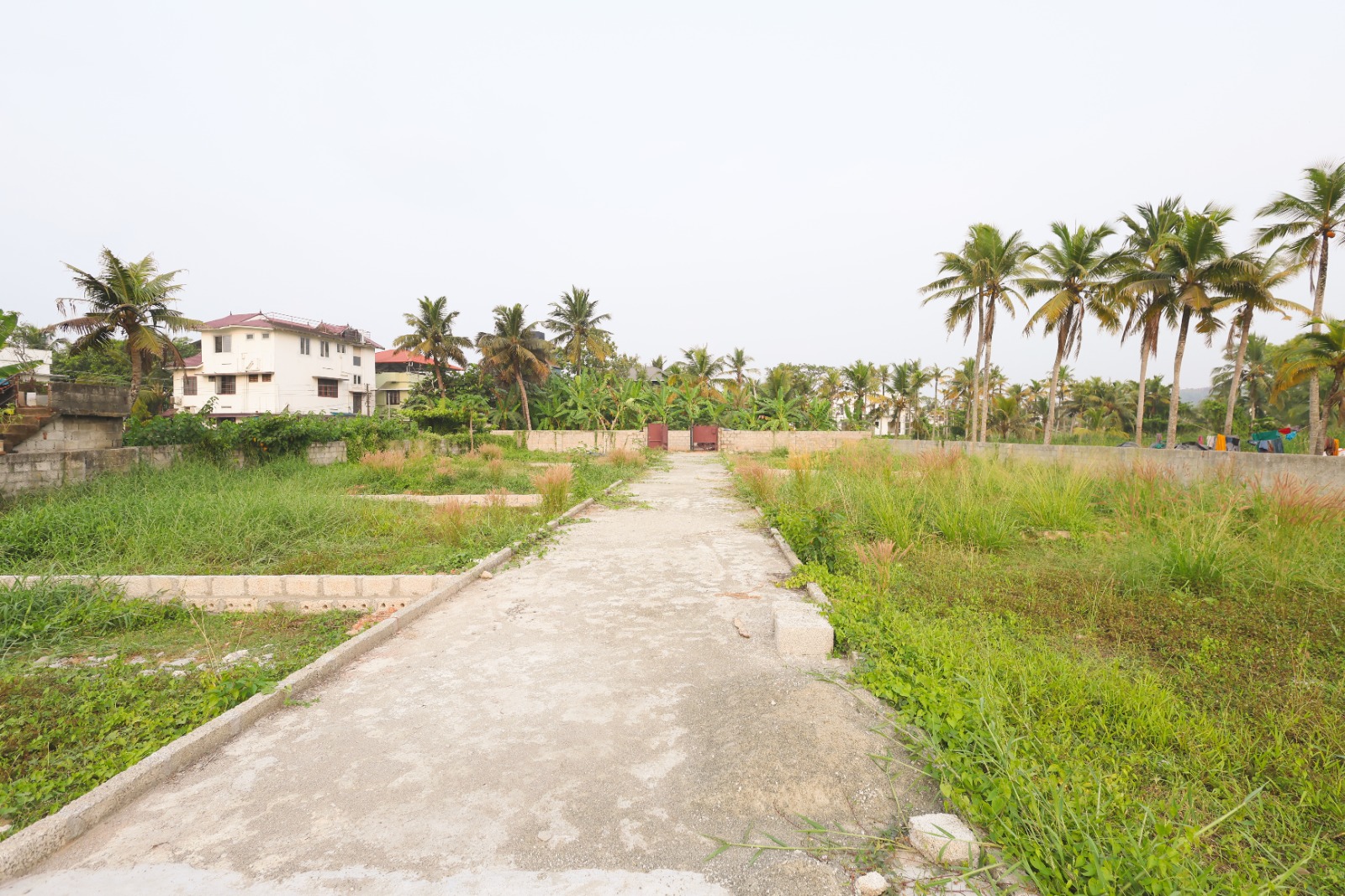3 Cent House Plot for Sale at Affordable Price – Manacaud Junction