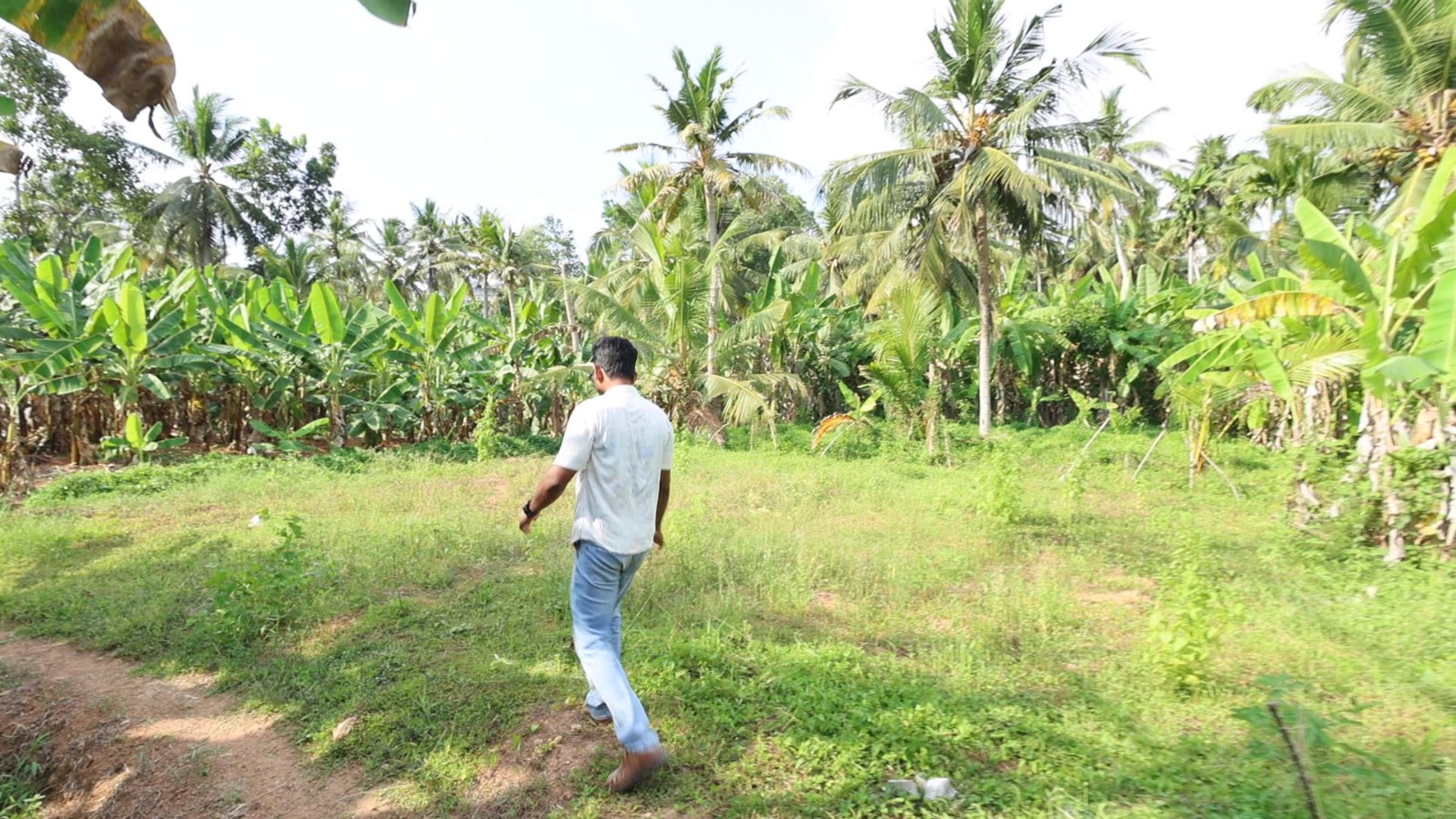 Budget-Friendly 3.6 Cent House Plot Near Mannanthala Mukkola Junction