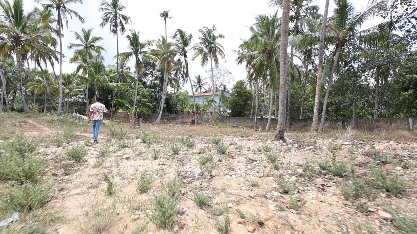 NH Frontage Property for Sale in Pallichal – Ideal for Commercial & Residential Use