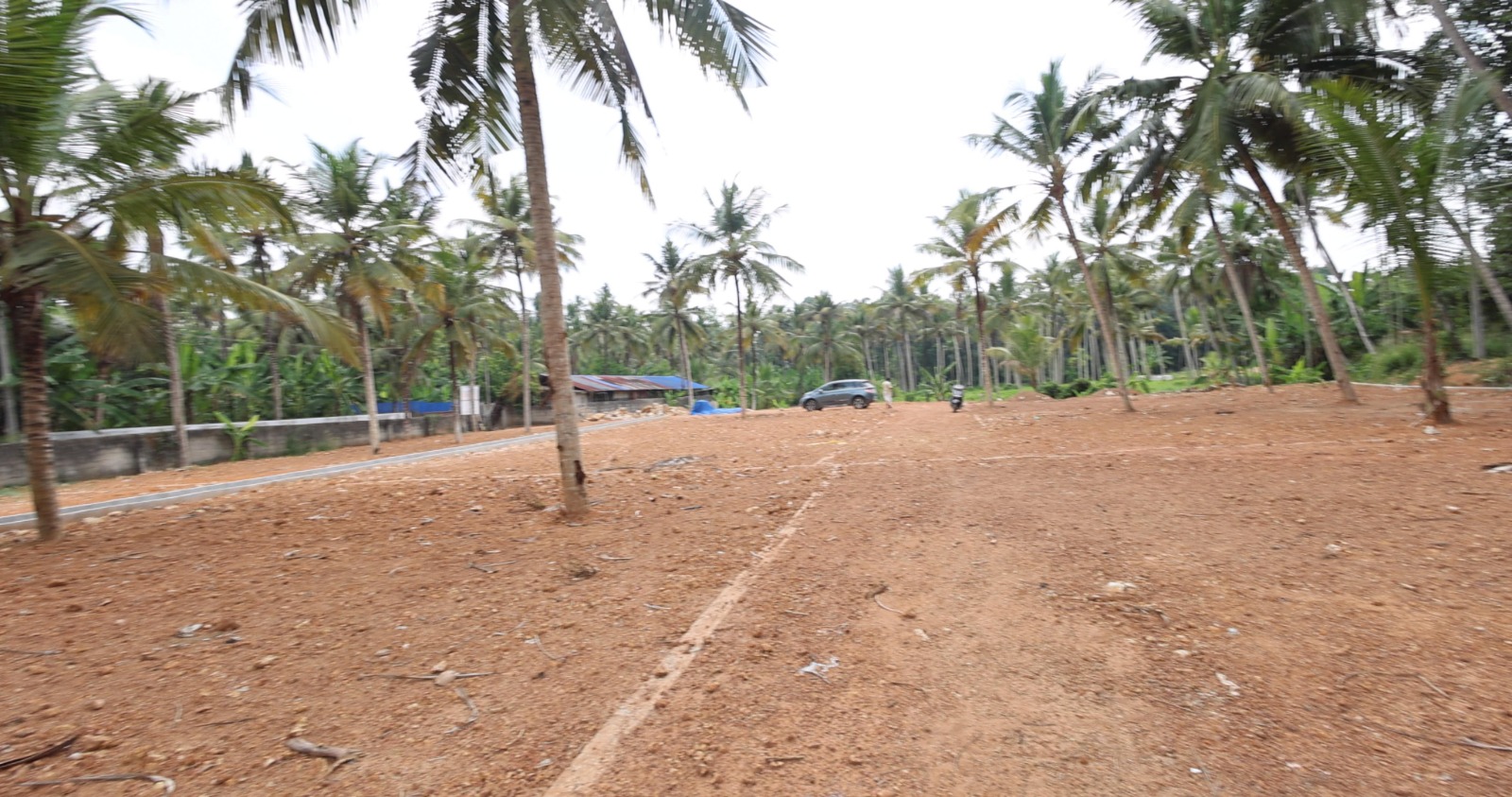 House Plots for Sale Near Peyad Pallimukku Junction – Starting 4 Cents