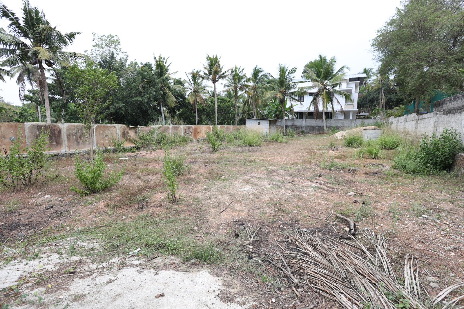 Wide Road Frontage House Plots Near Balaramapuram – Prime Investment Option
