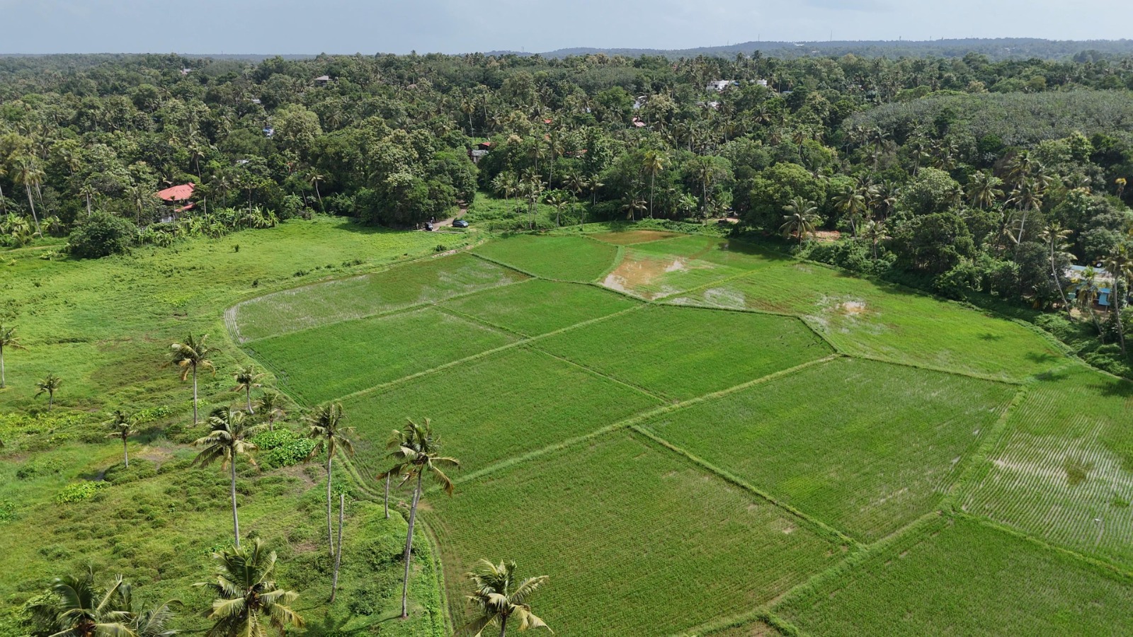 Prime 2-Acre Property for Sale at Varkala | Ideal for Investment, Agriculture & Farm Tourism